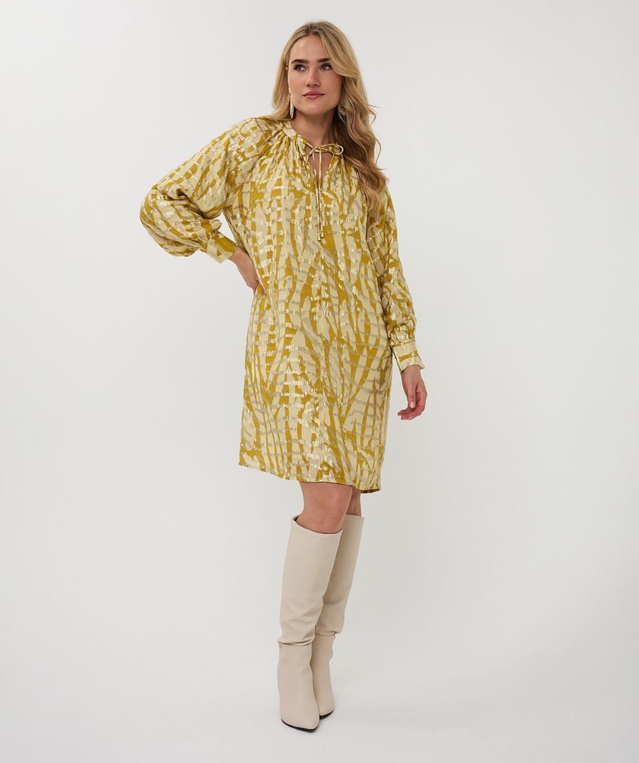 Golden Zebra dress