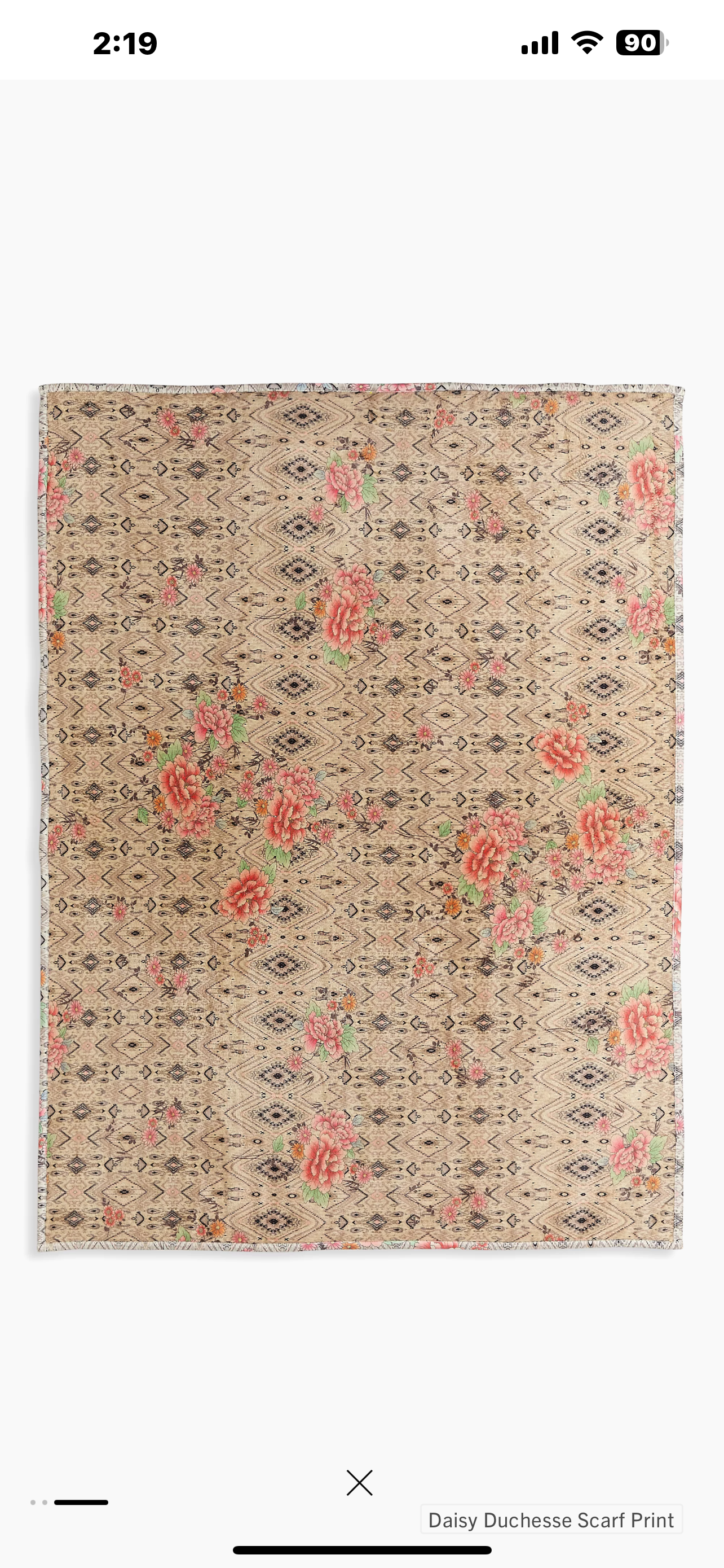 Johnny Was travel blanket/ daisy Duchesse