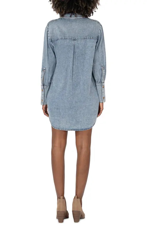 Denim Medium Wash Rooney Button Front Dress