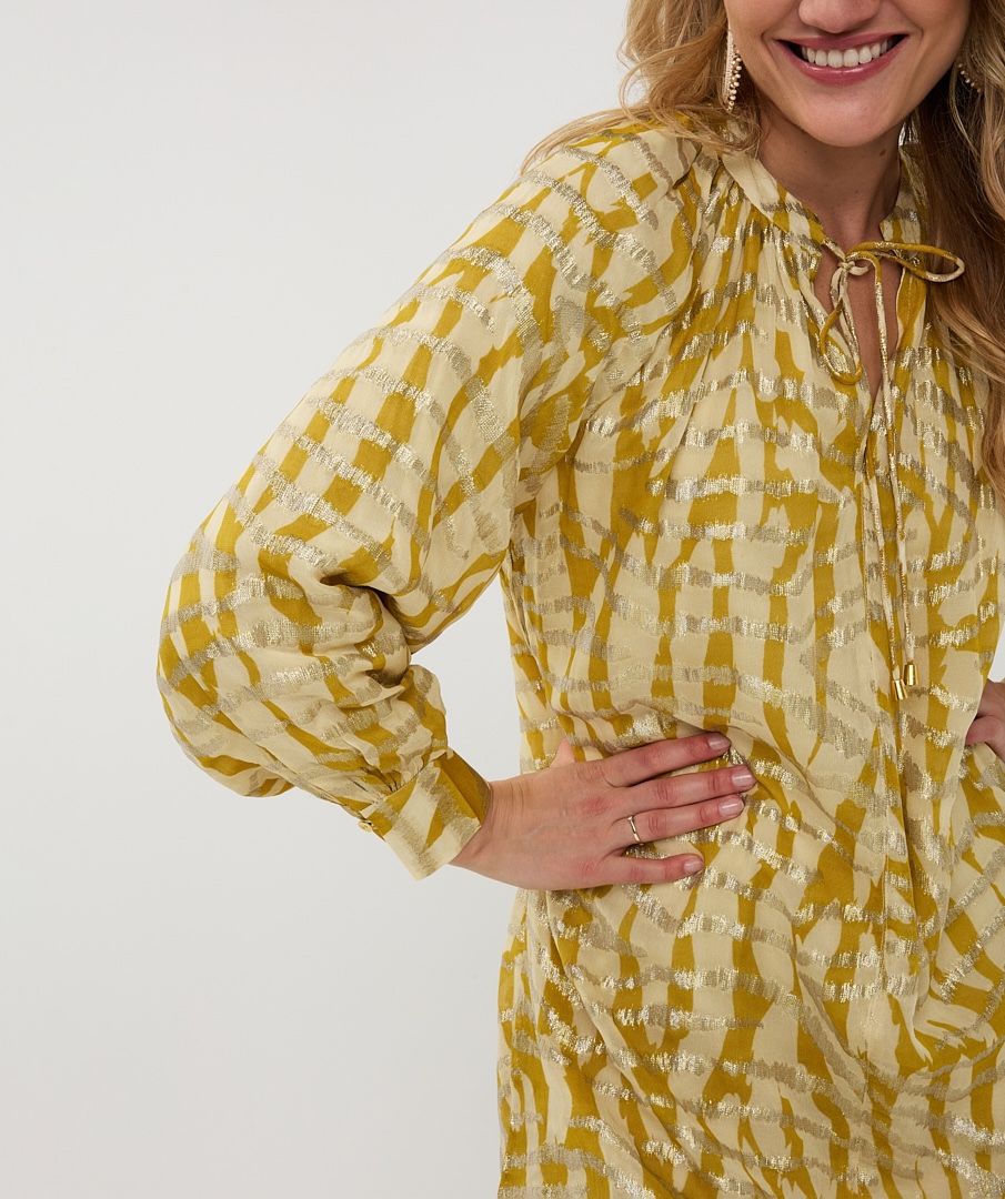 Golden Zebra dress