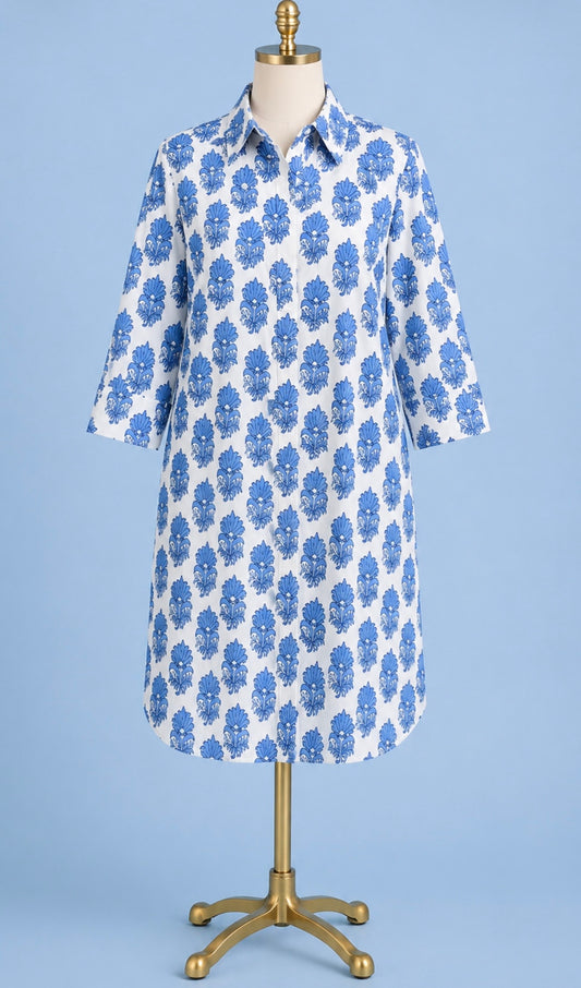 Blue/white Dress