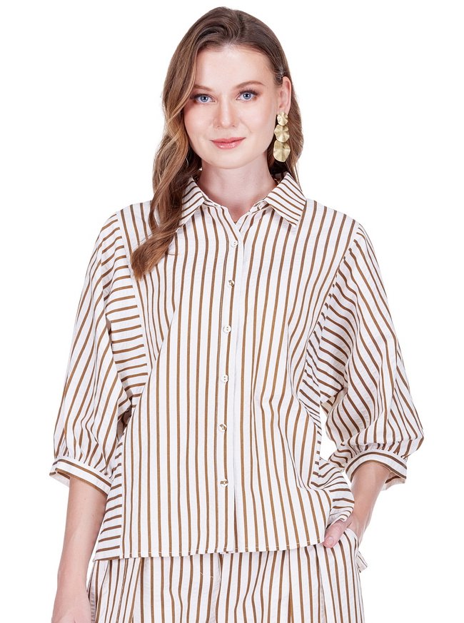 Brown Stripe Blouse
