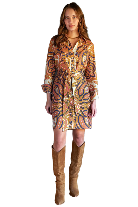 Liam Shirtdress/ princess paisley