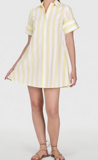 Dock Dress/ Club Stripe