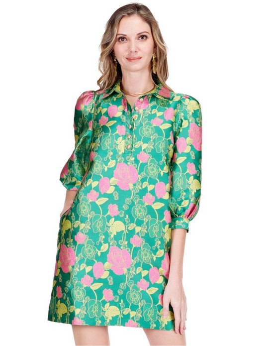Chemise Dress/ Eloise Rose