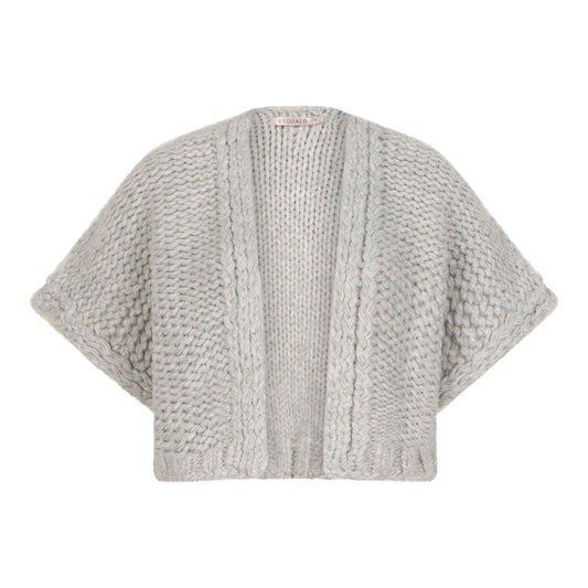Cardigan Gilet / grey