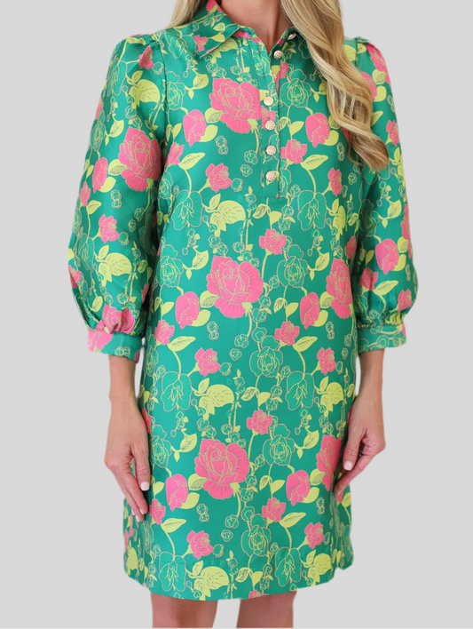 Chemise Dress/ Eloise Rose