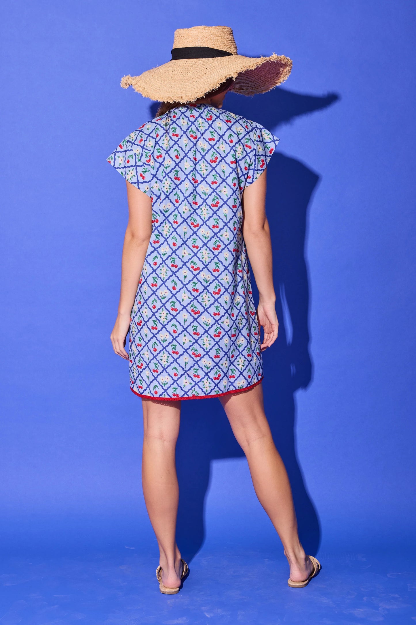 Tucker Dress/ light blue cherry