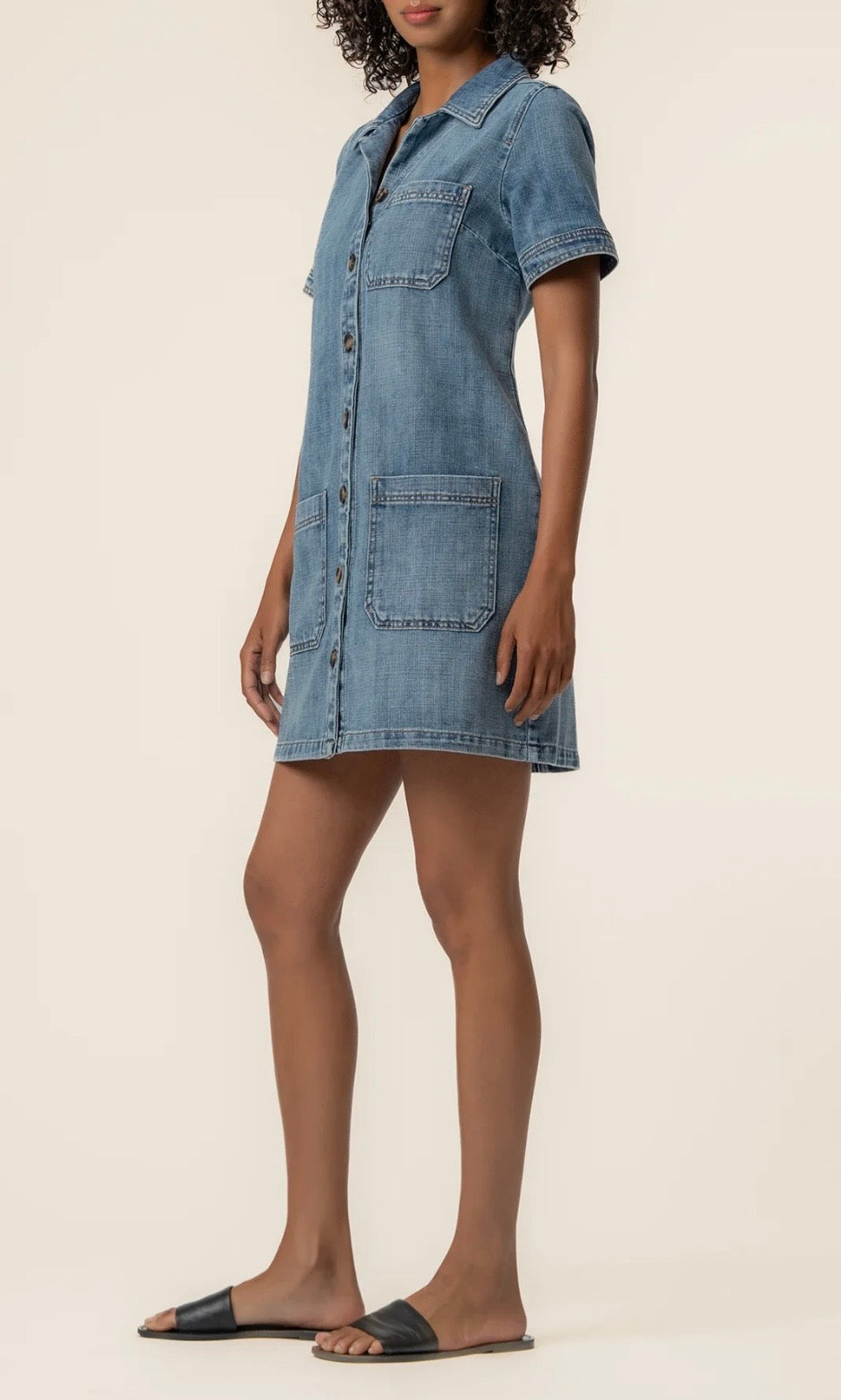 Parker Denim Dress / unfailing