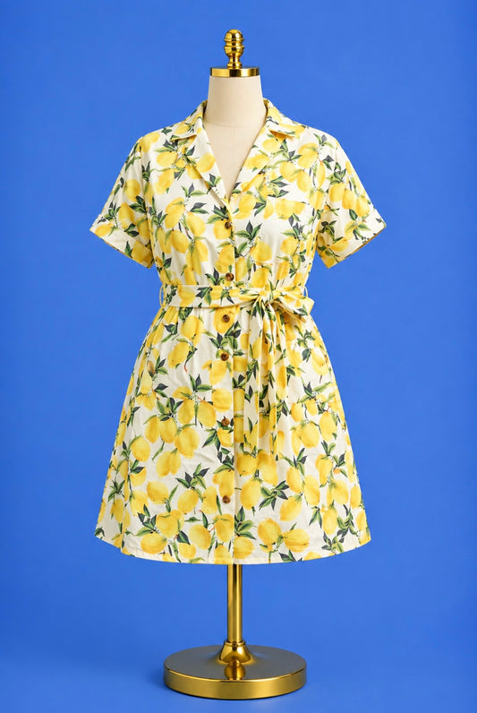 Pocket shirt Dress