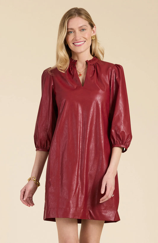 Tyler Boe Sherri Pleather Dress in Cayenne